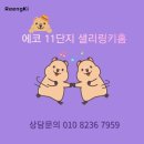 샐리잉글리시