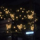 상옥자김밥 이미지