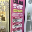 여니네 펫공방 이미지