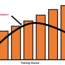 온더피트니스 이미지
