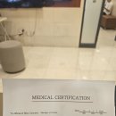 블로썸코리아 | [19w] 젤리캣 애착인형 / 제이드몽 입문 / 유니클로 / 19주 배크기 / 동탄제일병원 진료 / 열달후에...