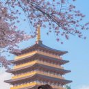 엑스포로2(동) 이미지