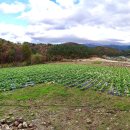 횡성부동산 귀농귀촌 횡성토지매매 [횡성군 안흥면부동산] #횡성군싼땅매매 이미지