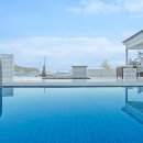 스테이가인 이미지