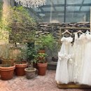 디케이팜 | Wedding / 로브드K, 로즈로사, 에토프꾸뛰르 본식 드레스 투어 후기