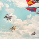 보라행정사사무소 이미지