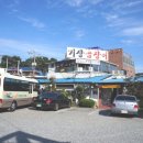 양동곰장어