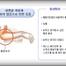 몸편한세상 이미지