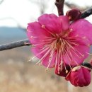 대구종합유통단지 산업용재관 이미지