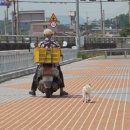 아롱이네 농장 이미지