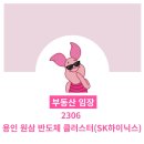 원삼사거리 | [임장]2306 용인 원삼 반도체 클러스터(SK하이닉스)