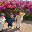 각골동로 이미지