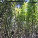 이문목장 이미지