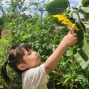 사상근린공원 이미지