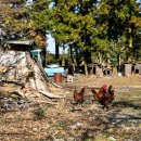 제주 삼다수유통 이미지