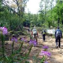 국제성지 둘레길 이미지