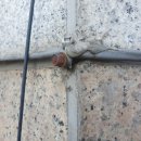 대야빌딩 이미지