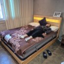 예랑도장 | 베스트슬립 쇼룸 체험 매트리스 렌탈 계약한 후기