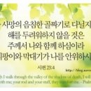 하늘나라주