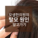 모생한의원 네이버블로그