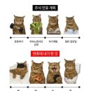 초당약품 | 옥!토쏠려 October일상…