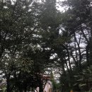 금곡LPG충전소 이미지