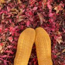 사계절 손뜨개 이미지