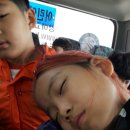 코리아블랙밸트센터태권도장 이미지