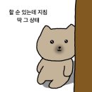 와썹멍 | 추수사랑절