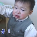 응도