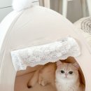 코네코 코야 이미지