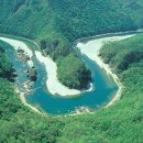 3013 Daum카페
