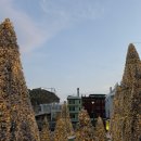 오동동 문화광장 | 오동동문화광장 빛의 거리, 2월까지 즐기는 마산 야경 명소