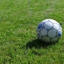 율하체육공원 축구장 이미지