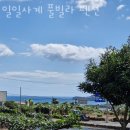 일일사계 풀빌라 펜션 | 제주도펜션 일일사계 풀빌라 펜션 5월 국내여행 제주도 가볼만한곳 가까운 숙소