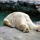 신봉자원 이미지