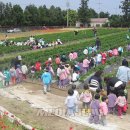 원아농장 이미지