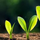 생각이 바뀌면 삶이 바뀐다 | 이미지