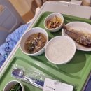 충무요양병원 | 담낭절제 수술 후기