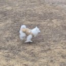 글램독 경주 A동 이미지