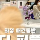 화정펫