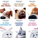 마이펫 이미지