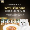 하니팬시