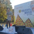 대송초등학교 이미지