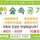 숲속공기 이미지