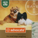 서울온누리약국 이미지