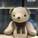 큐신라 | [강릉 숙소] 강릉 신라모노그램 호텔 디럭스더블오션뷰 숙박 후기