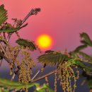 김영래농장 이미지