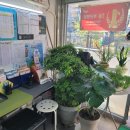 천하명당마트 이미지