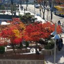 구리역광장 이미지